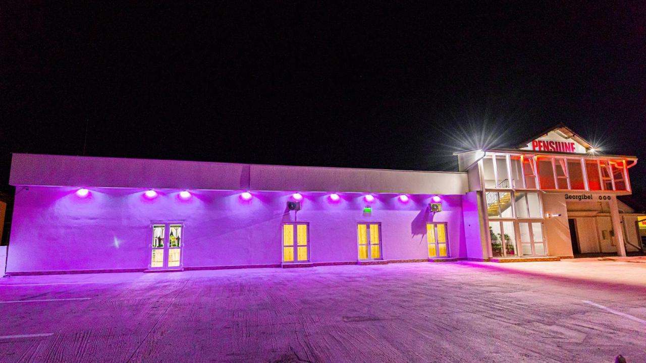 Pensiunea Georgibel Deva Exterior foto